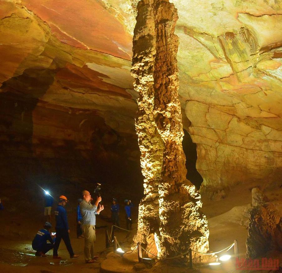  Nhiều người sửng sốt trước cột thạch nhũ cao trong động Phong Nha.