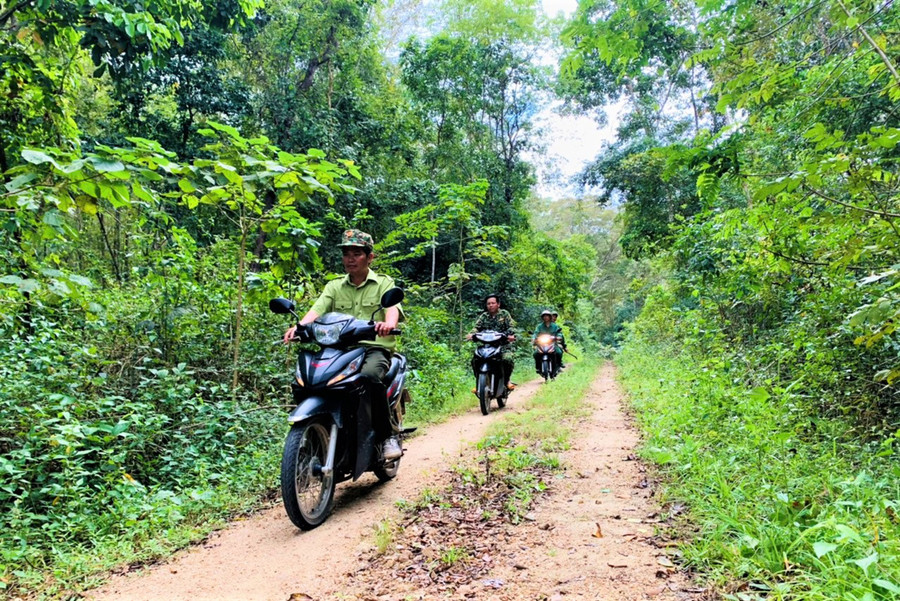 Do địa hình phức tạp nên trong Khu Bảo tồn thiên nhiên Ea Sô chỉ có một số khu vực là tuần tra được bằng xe gắn máy… 