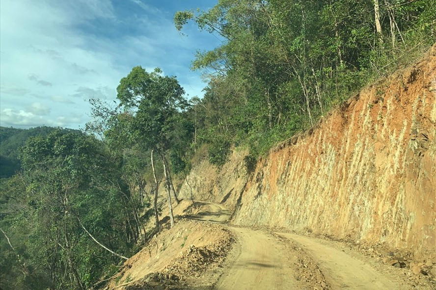 Hiện trường chủ đầu tư cho thi công trên 15ha rừng đặc dụng thuộc quản lý của Vườn Quốc gia Chư Yang Sin. Ảnh: Quốc Khánh