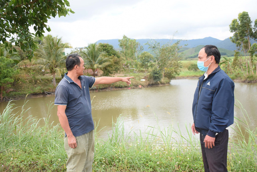 Nuôi cá nước ngọt kết hợp trữ nước tưới: Mô hình đa lợi ích (GLO)- Xã Kông Lơng Khơng (huyện Kbang) đang triển khai Dự án nuôi cá nước ngọt kết hợp với trữ nước phục vụ tưới cho cây trồng. Dự án được kỳ vọng sẽ giúp người dân tăng thu nhập, góp phần giảm nghèo bền vững. Đưa tay chỉ ao nước trước mặt, ông Trần Văn Thuận (làng Pờ Ngăl) cho biết: “Diện tích mặt ao khoảng 3.000 m2. Ngoài việc tưới cho 3 ha cây ăn quả và lúa, gia đình tôi còn thả nhiều loại cá như: trắm, chắp, mè”. Theo ông Thuận, ao nước này trước đây chỉ là dòng suối nhỏ, qua nhiều năm đầu tư mở rộng với mục tiêu ban đầu là tích nước phục vụ sản xuất nông nghiệp đã thành như bây giờ. Nhờ có nguồn nước tưới này, vườn cây ăn quả của gia đình luôn xanh tốt. Hiện tại, 300 cây nhãn đã ra hoa, chuẩn bị cho thu bói. Hai năm trở lại đây, gia đình ông Thuận chuyển sang nuôi cá với số lượng lớn. Tính riêng năm 2021, với việc đầu tư 20 kg cá giống (trắm, mè, chép), cộng thêm tiền thức ăn chưa đến 7 triệu đồng, chỉ sau hơn 8 tháng nuôi, cá đạt trọng lượng từ 2,5 đến 3 kg/con. Cuối năm, ông thu được 3 tạ, lãi hơn 21 triệu đồng. Số cá chưa thu hoạch hết, ông tiếp tục nuôi và thả thêm hơn 20 kg cá giống các loại, dự kiến sẽ mang lại nguồn thu khá trong thời gian tới. Đặc biệt, khi tham gia dự án nuôi cá nước ngọt, ông Thuận dự tính nếu đầu ra ổn định thì hiệu quả mang lại sẽ rất cao bởi kinh phí đầu tư con giống, thức ăn thấp vì tận dụng nguồn rau, cỏ có sẵn trong vườn. Tương tự, ông Chu Văn Túc (cùng làng) cũng tận dụng 1.500 m2 ao hiện có để tham gia dự án này. Trước đây, ao phục vụ nước tưới cho 1,2 ha cây ăn quả các loại. Ông cũng tận dụng mặt nước để thả cá trắm, chép, mè, trê. Mỗi năm, ông xuất bán được vài tạ cá, thu về hơn 20 triệu đồng. Khi tham gia dự án nuôi cá nước ngọt, ông Túc dự kiến sẽ đầu tư nuôi với số lượng lớn, đồng thời cải tạo lại ao nuôi một cách bài bản hơn. Theo ông Trịnh Xuân Đồng-Chủ tịch Hội Nông dân xã Kông Lơng Khơng: Toàn xã hiện có 22,9 ha ao hồ. Nhờ tận dụng nguồn thức ăn sẵn và thời gian lao động nhàn rỗi, các hộ gia đình phát triển thêm nghề nuôi cá nước ngọt. Tuy nhiên, nhiều hộ chỉ nuôi các loài cá theo phương pháp truyền thống, ít đầu tư chăm sóc, không sử dụng thức ăn tinh nên thời gian cho thu hoạch kéo dài, sản lượng thấp. Vì vậy, việc hỗ trợ phát triển mô hình nuôi cá trên địa bàn xã sẽ giúp các hộ có vốn đầu tư theo hướng sản xuất hàng hóa quy mô lớn, liên kết sản xuất theo mô hình chi hội nông dân nghề nghiệp sẽ góp phần tăng thu nhập, phát triển kinh tế hộ gia đình. Chủ tịch Hội Nông dân xã Kông Lơng Khơng cho biết thêm: Trong số 49 hộ tham gia dự án, 10 hộ được Quỹ Hỗ trợ nông dân tỉnh cho vay 400 triệu đồng (40 triệu đồng/hộ). Dự kiến, dự án được triển khai trên diện tích khoảng 40.000 m2, trung bình 1 hộ có khoảng 4.000 m2 diện tích mặt nước, trong đó, các hộ có sẵn ao tự nhiên 37.000 m2, diện tích cần mở rộng thêm 3.000 m2. Theo tính toán, việc mở rộng diện tích ao nuôi 3.000 m2 có tổng chi phí đầu tư khoảng 30 triệu đồng, chi phí nuôi trung bình 4.000 m2/hộ khoảng 98,5 triệu đồng/năm (10 hộ là 985 triệu đồng). Sau 12 tháng nuôi (năm thứ nhất), doanh thu ước đạt hơn 2 tỷ đồng/10 hộ, trung bình mỗi hộ lãi 103,5 triệu đồng. Dự kiến doanh thu năm thứ 2 là hơn 2,1 tỷ đồng, mỗi hộ đạt lợi nhuận hơn 218 triệu đồng. “Như vậy, tổng lợi nhuận của dự án trong 2 năm thực hiện sẽ hơn 3,2 tỷ đồng/10 hộ. Trong khi đó, 10 hộ vay đầu tư sẽ thu hồi vốn và lãi 321,9 triệu đồng/hộ. Lợi nhuận thu được từ dự án các hộ này tiếp tục đầu tư và một phần sử dụng chi phí cho gia đình, giúp ổn định cuộc sống”-ông Đồng khẳng định. Trong khi đó, ông Trần Văn Nhơn-Chủ tịch UBND xã Kông Lơng Khơng thì cho rằng: Dự án sẽ mở ra hướng phát triển kinh tế mới, chuyển từ phương pháp truyền thống sang đầu tư ứng dụng các tiến bộ khoa học kỹ thuật giúp tăng năng suất, chất lượng sản phẩm, góp phần bảo vệ môi trường; tạo ra sản phẩm hàng hóa phục vụ nhu cầu của người tiêu dùng trên địa bàn huyện và các địa phương lân cận; đồng thời nhân rộng, phát triển mô hình nuôi cá nước ngọt trong đồng bào dân tộc thiểu số ở địa phương trong thời gian đến. MINH NGUYỄN Tận dụng ao nước phục vụ tưới, ông Trần Văn Thuận (làng Pờ Ngăl, xã Kông Lơng Khơng) đầu tư thả cá, thu nhập hàng chục triệu đồng. Ảnh: Minh Nguyễn