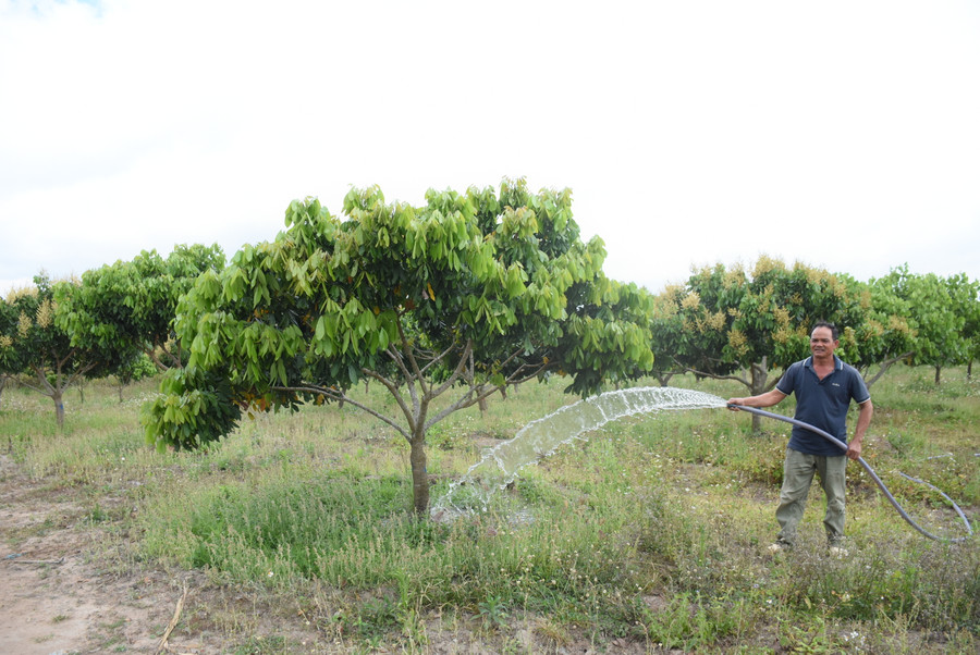 Ông Trần Văn Thuận-làng Pờ Ngăl triển khai mô hình nuôi cá kết hợp trữ nước phục vụ tưới tiêu. Ảnh: Minh Nguyễn