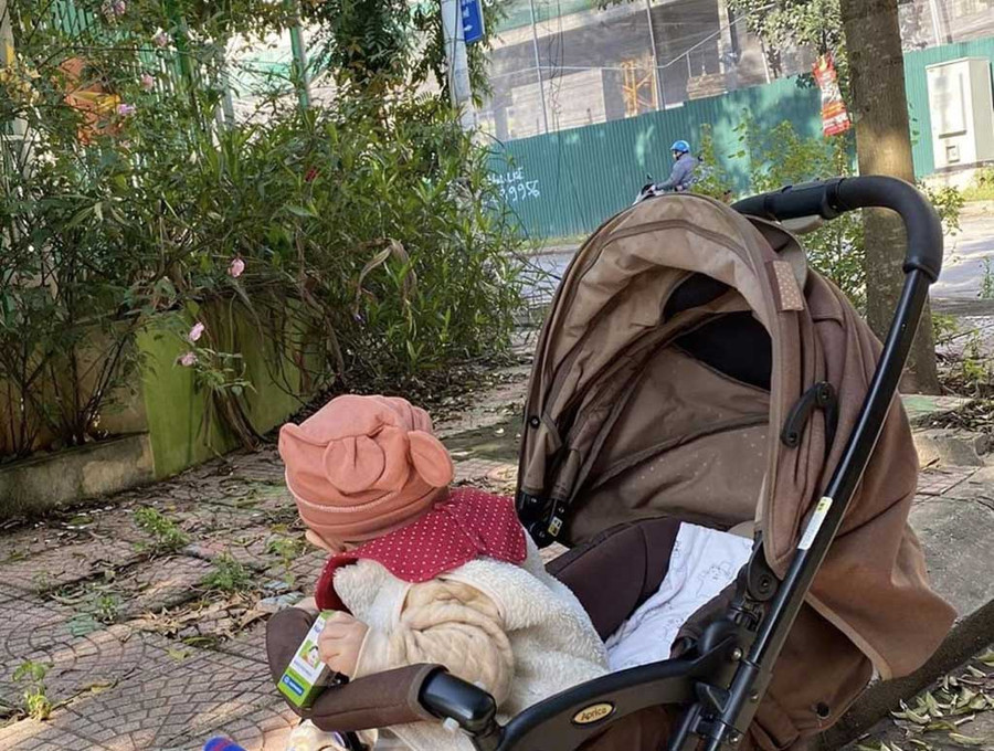  Cơ sở mầm non tư thục ở Q.Hà Đông tiêu điều, cỏ mọc kín do “bỏ hoang” quá lâu. Ảnh: Hồng Minh