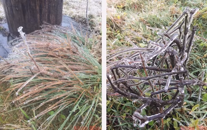 Một số hình ảnh băng tuyết trên khu du lịch Mẫu Sơn.