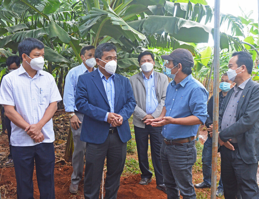 Bí thư Tỉnh ủy trao đổi với đại diện Công ty Cổ phần Nông nghiệp Công nghệ cao Hưng Sơn. Ảnh: Anh Huy