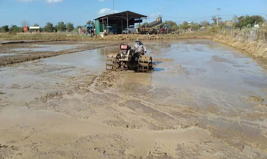 Người dân xã Ia Mơr (huyện Chư Prông) đưa cơ giới vào sản xuất lúa nước. Ảnh: Anh Huy