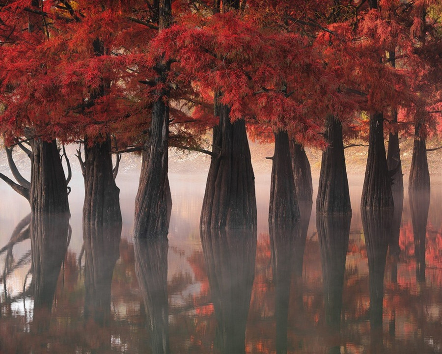 Tác phẩm lọt top 101 bức ảnh hàng đầu của nhiếp ảnh gia Sergey Semenov. Ảnh: International Landscape Photographer of the Year 2021 Tác phẩm lọt top 101 bức ảnh hàng đầu của nhiếp ảnh gia Sergey Semenov. Ảnh: International Landscape Photographer of the Year 2021