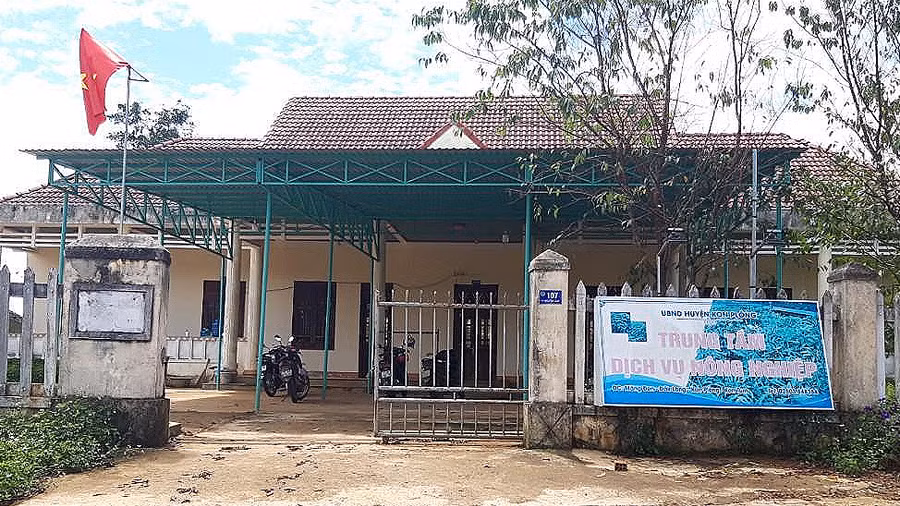  Trung tâm dịch vụ Nông nghiệp huyện Kon Plông (đơn vị trúng thầu cung ứng giống cho dự án)