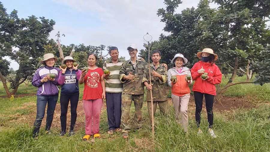 Dự án khởi nghiệp của Phạm Thị Thu Hằng (thứ 2 từ phải sang) đã tạo được đầu ra ổn định và tăng thu nhập cho người dân trồng bơ