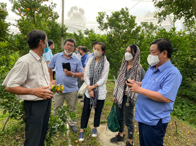 Bộ trưởng Bộ Nông nghiệp và Phát triển nông thôn Lê Minh Hoan (bìa phải) thăm các mô hình nông nghiệp tại ĐBSCL - Ảnh: NGỌC TRINH