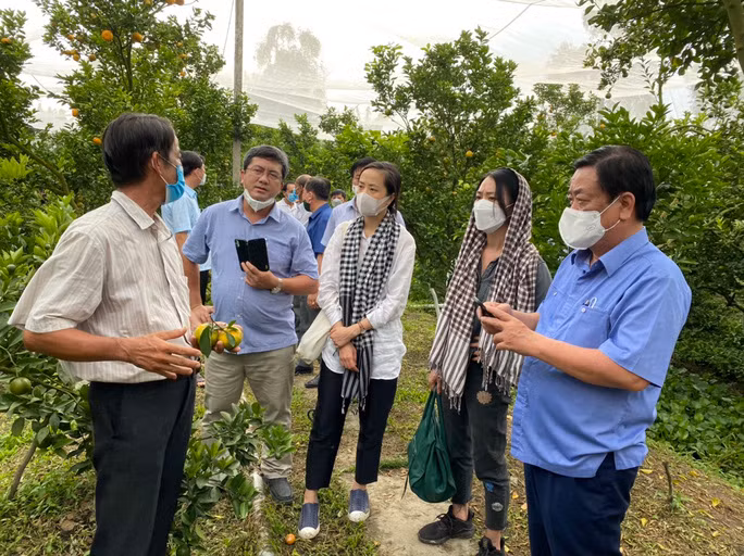 Bộ trưởng Bộ Nông nghiệp và Phát triển nông thôn Lê Minh Hoan (bìa phải) thăm các mô hình nông nghiệp tại ĐBSCL - Ảnh: NGỌC TRINH
