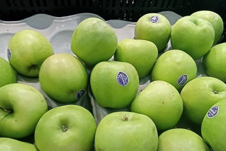Táo xanh có nhiều lợi ích trong việc làm đẹp như giảm mụn, trị gàu, giữ cho vóc dáng thon gọn. Ảnh: Thanh Ngọc