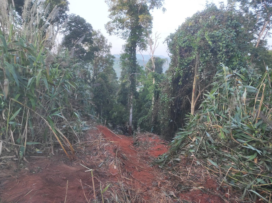 Hiện trường vụ tai nạn. Ảnh Ban An toàn giao thông tỉnh cung cấp Hiện trường vụ tai nạn. Ảnh Ban An toàn giao thông tỉnh cung cấp