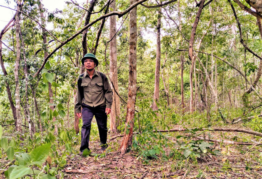 ... còn lại phần lớn địa hình là đi bộ lội rừng và vượt suối để bảo vệ rừng.
