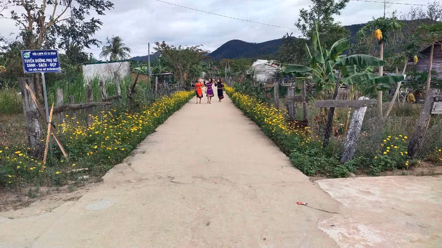  Tuyến đường buôn Chư Jú (xã Ia Rsai) tràn ngập sắc hoa. Ảnh: Vũ Chi