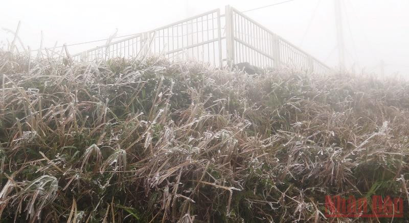 Hình ảnh băng tuyết trên khu du lịch Mẫu Sơn.