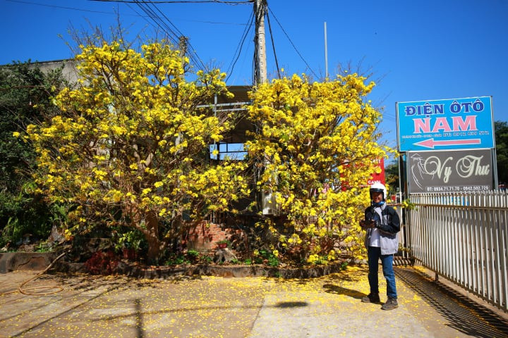 Anh Tuấn không quên 