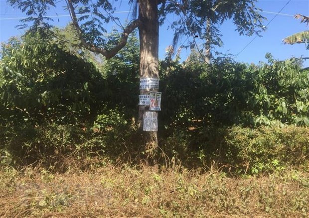 Biển rao vặt mời chào bán đất trên một tuyến đường ngoại ô thành phố Buôn Ma Thuột. Ảnh: Hoài Thu/TTXVN