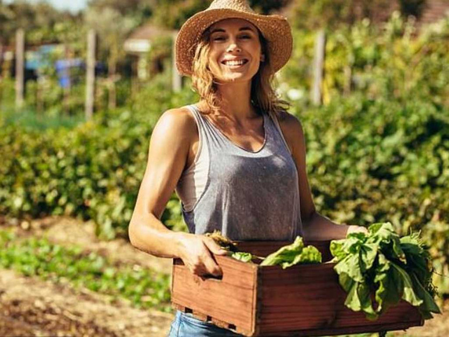 Rất nhiều nghiên cứu đã chứng minh rằng làm vườn giúp tăng cường sức khỏe và tuổi thọ. Ảnh: Shutterstock Rất nhiều nghiên cứu đã chứng minh rằng làm vườn giúp tăng cường sức khỏe và tuổi thọ. Ảnh: Shutterstock