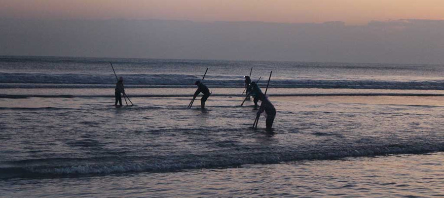 Cảnh cào ốc ruốc