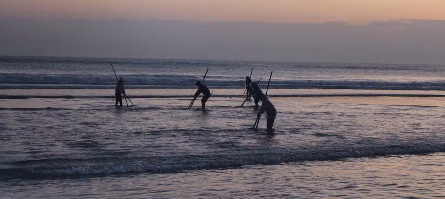 Cảnh cào ốc ruốc