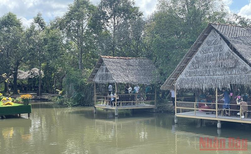 Khách du lịch thích thú với miệt vườn sông nước Cần Thơ