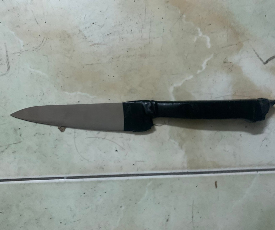 Con dao mà Long dùng gây án. Ảnh: CTV