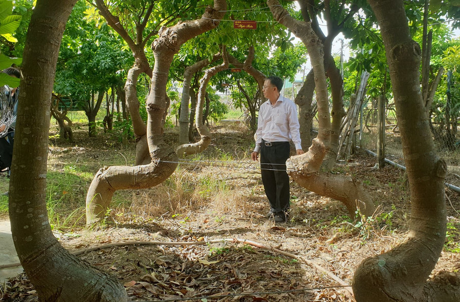 Dáng ngồi thiền. Ảnh: Thiện Nhân