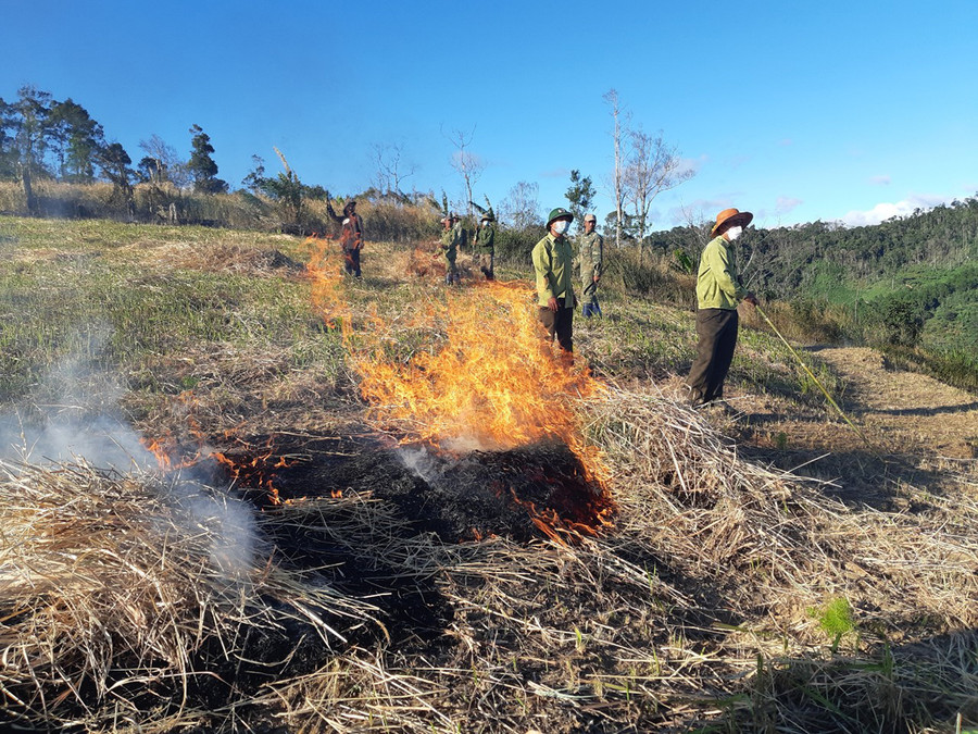 Nhân viên Ban Quản lý rừng phòng hộ Mang Yang phát đốt thực bì để phòng-chống cháy rừng. Ảnh: Nguyễn Diệp Nhân viên Ban Quản lý rừng phòng hộ Mang Yang phát đốt thực bì để phòng-chống cháy rừng. Ảnh: Nguyễn Diệp