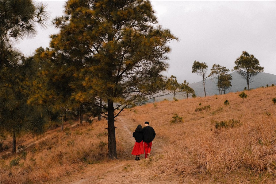 Đỉnh Phượng Hoàng thuộc thành phố Uông Bí, tỉnh Quảng Ninh, cách TP Hạ Long khoảng 40km và cách Hà Nội 135km. Ảnh: Giang Nguyen Vu Hoang Đỉnh Phượng Hoàng thuộc thành phố Uông Bí, tỉnh Quảng Ninh, cách TP Hạ Long khoảng 40km và cách Hà Nội 135km. Ảnh: Giang Nguyen Vu Hoang