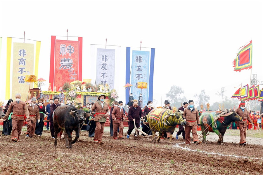  Chủ tịch nước Nguyễn Xuân Phúc xuống đồng cày ruộng đầu năm mới.