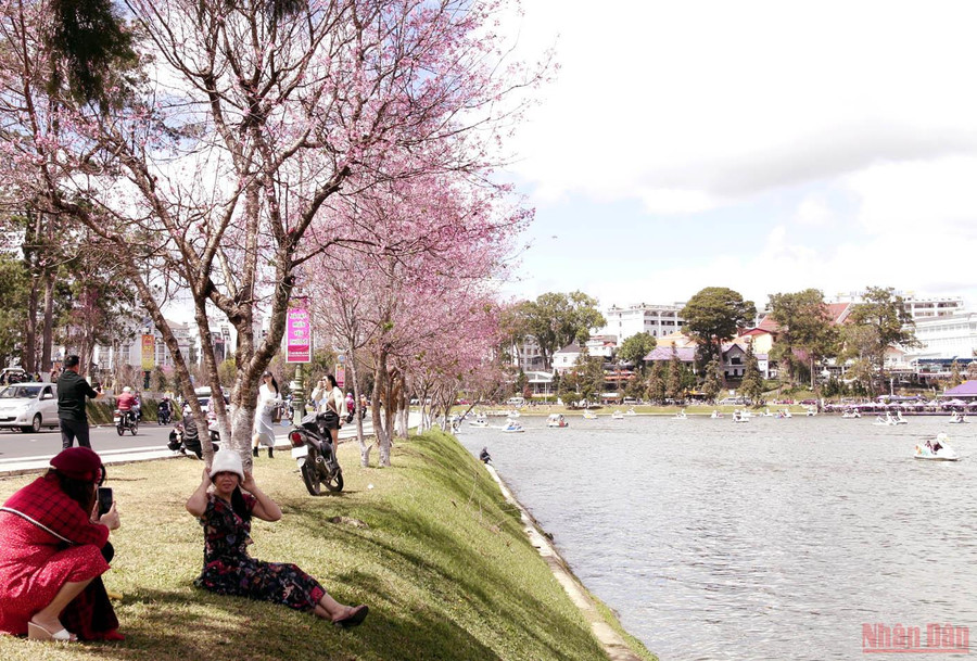  Lưu dấu khoảnh khắc bên hồ Xuân Hương-Đà Lạt.