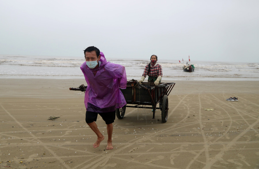 Ngư dân chở sứa vừa đánh bắt được lên bờ. Ảnh: Phạm Đức