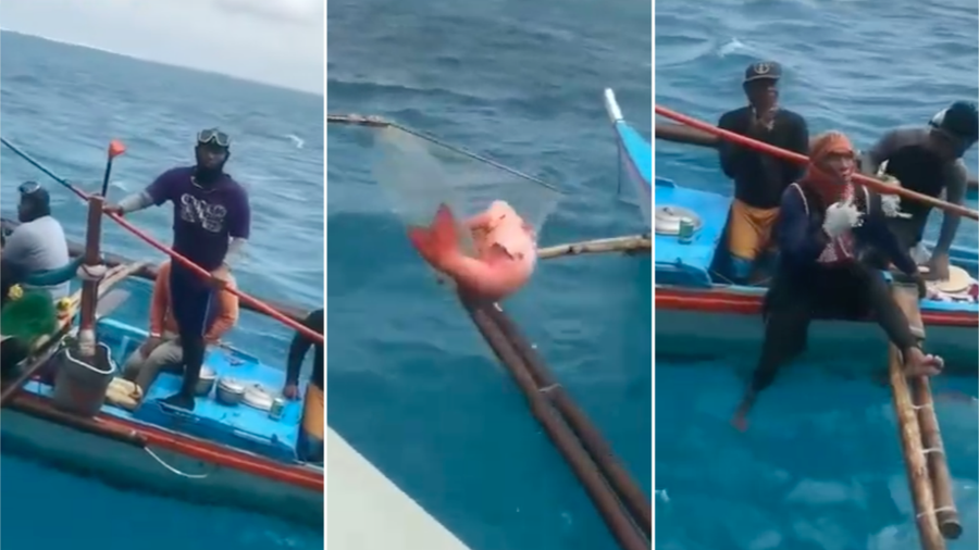 Ngư dân Philippines tặng lại con cá to cho ngư dân VN. Ảnh chụp màn hình tiktok @hahahaa113