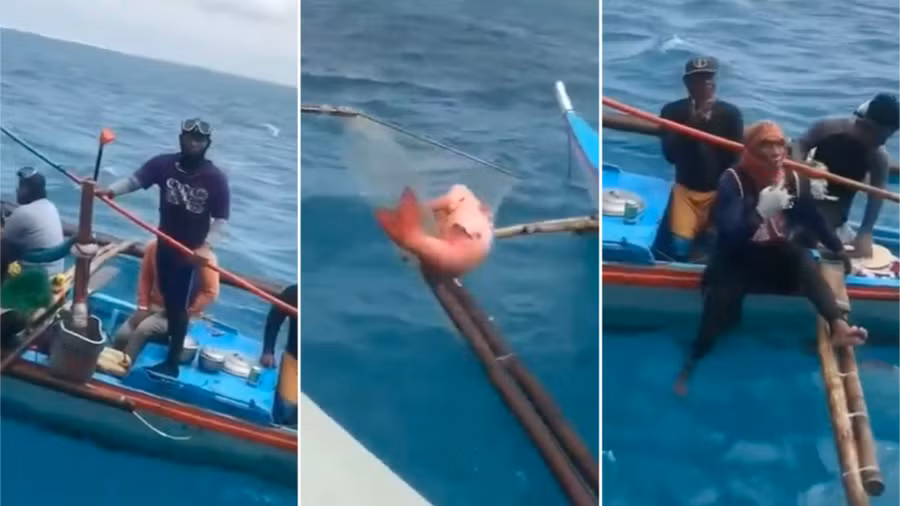 Ngư dân Philippines tặng lại con cá to cho ngư dân VN. Ảnh chụp màn hình tiktok @hahahaa113