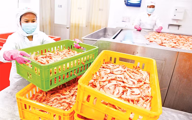 Công nhân Công ty cổ phần kinh doanh Thủy, hải sản Sài Gòn APT thực hiện các đơn hàng xuất khẩu. (Ảnh: Phương Vy)