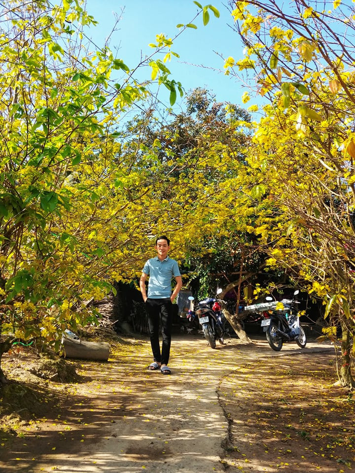 Đường mai trước nhà ông nội của anh Quốc Linh. Ảnh: NVCC