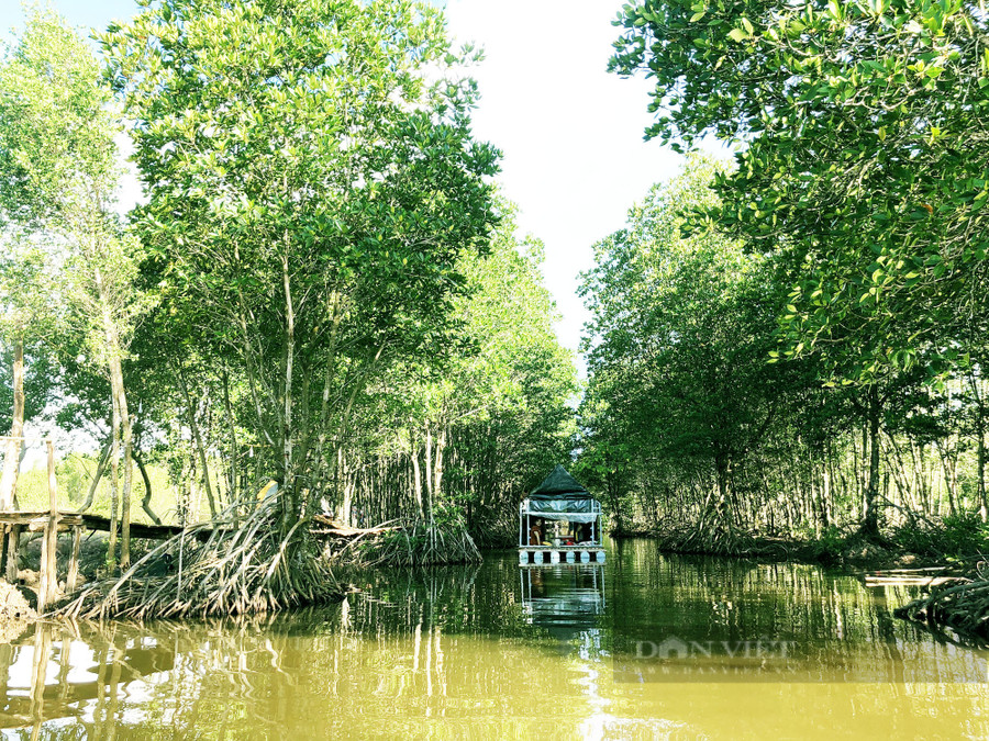 Cánh rừng ngập mặn ở Bạc Liêu-nơi heo hút ngày nào, được vợ chồng anh Dương dày công xây dựng thành khu du lịch hấp dẫn tại xã Vĩnh Hậu A, huyện Hòa Bình, tỉnh Bạc Liêu. Ảnh: M.A.