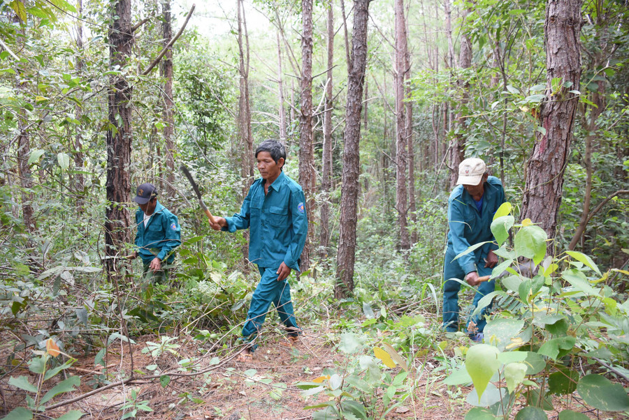 Nhờ chính sách chi trả DVMTR, cộng đồng làng, hộ và nhóm hộ tham gia nhận khoán quản lý, bảo vệ rừng có thêm nguồn thu nhập để cải thiện cuộc sống. Ảnh: Minh Nguyễn