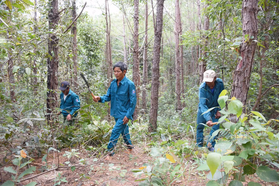 Nhờ chính sách chi trả DVMTR, cộng đồng làng, hộ và nhóm hộ tham gia nhận khoán quản lý, bảo vệ rừng có thêm nguồn thu nhập để cải thiện cuộc sống. Ảnh: Minh Nguyễn