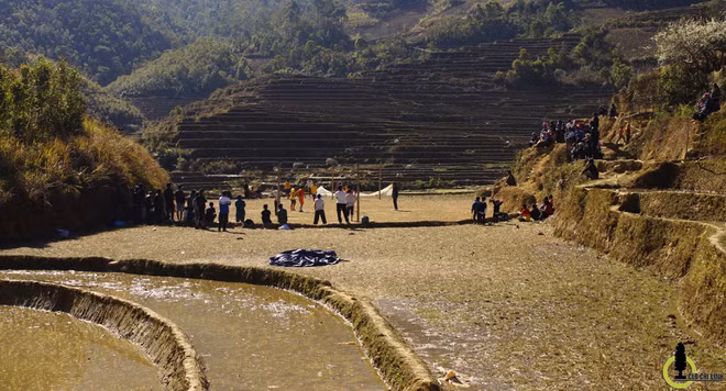 Cùng với La Pán Tẩn và Chế Cu Nha cùng huyện, Dế Xu Phình mỗi dịp lúa chín hay mùa nước đổ ải đều thu hút rất đông lượng du khách. Cùng với La Pán Tẩn và Chế Cu Nha cùng huyện, Dế Xu Phình mỗi dịp lúa chín hay mùa nước đổ ải đều thu hút rất đông lượng du khách.