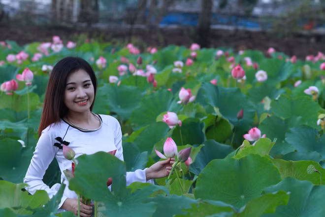 Loài hoa này cũng tượng trưng cho vẻ đẹp hình thể của người phụ nữ Việt: Cổ tay em trắng như ngà/ Đôi mắt em liếc như là dao cau/ Nụ cười như thể hoa ngâu/ Cái khăn đội đầu như thể hoa sen.