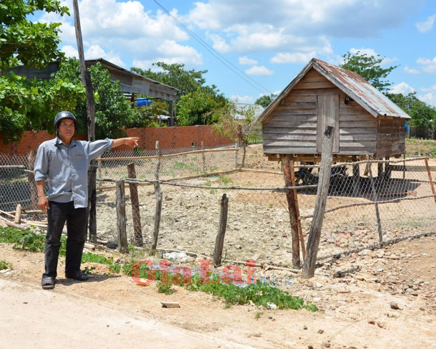 Một sào đất được sang nhượng lại của ông Hiến bị chiếm đoạt. Ảnh: Nguyễn Tú