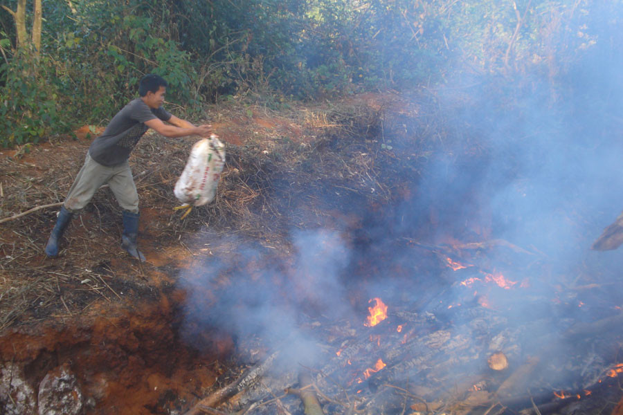 Ảnh: Nguyễn Diệp Ảnh: Nguyễn Diệp