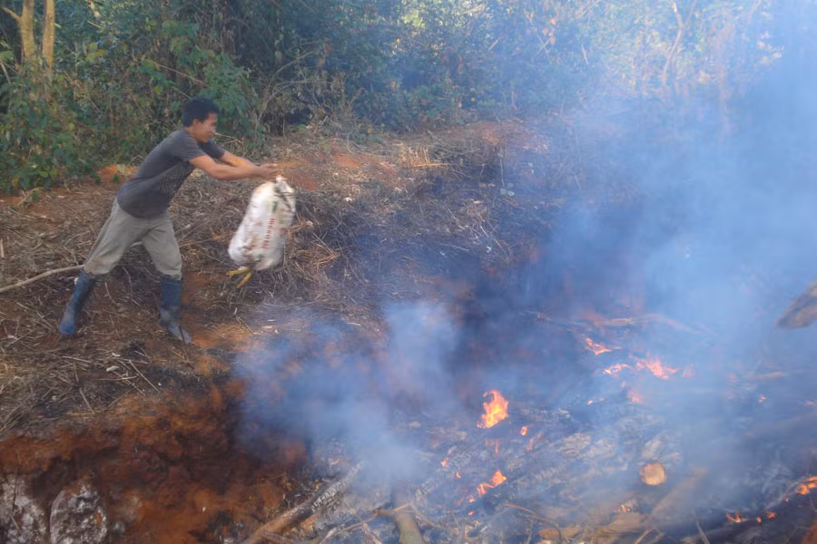 Ảnh: Nguyễn Diệp Ảnh: Nguyễn Diệp