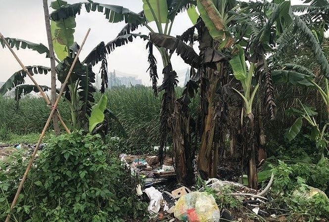 Hiện trường vụ án mạng  Hiện trường vụ án mạng