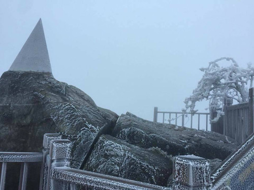 Hiện tượng băng giá xuất hiện trên đỉnh Fansipan, Sa Pa, Lào Cai từ đêm qua và kéo dài đến sáng nay. Cây cỏ và nhiều công trình ở độ cao hơn 3.000 m sáng 7/4 vẫn bao phủ bởi lớp băng giá trong suốt.