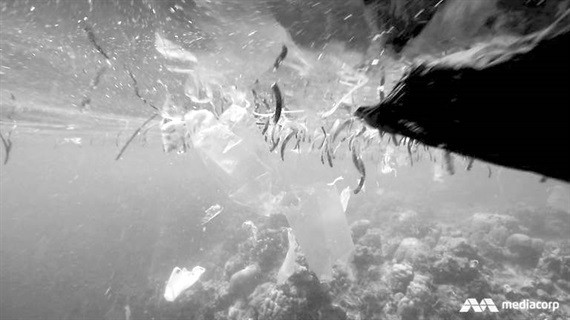  Hình ảnh rác nilon trôi dạt khắp các đại dương