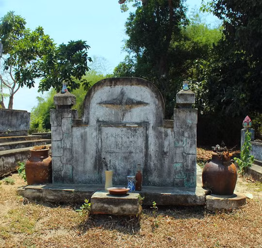  Cận cảnh những chiếc ché quý trong rừng ma.