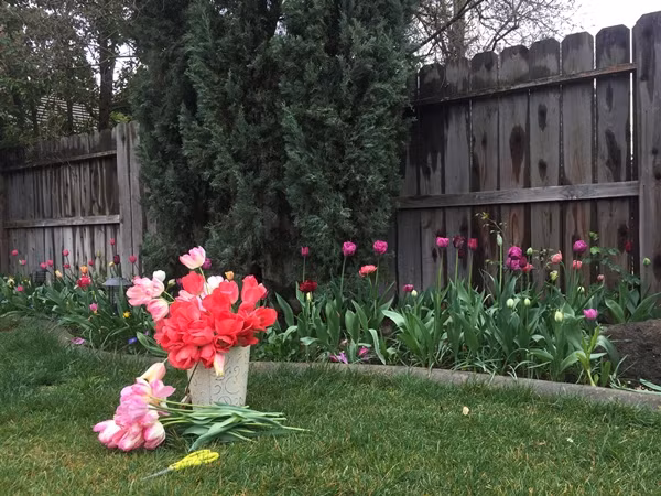 Chị Jacqueline yêu hoa từ nhỏ. Khoảng đầu năm 1980, ba mất sớm, chị sống với mẹ tại một ngôi làng ở Bảo Lộc (Lâm Đồng). Những lúc mẹ vắng nhà, chị Jacqueline tha thẩn ngoài vườn xới đất, trồng cây. Thấy cháu gái ngắt hoa dại bên đường mang về trồng, cậu ruột chị gửi từ Đà Lạt xuống tặng những gói hạt giống. Niềm đam mê trồng hoa lớn lên trong bà mẹ 42 tuổi từ đó.