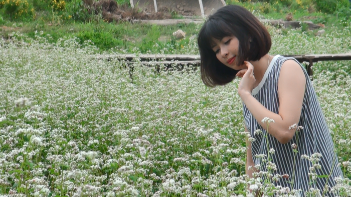  Với vẻ đẹp dịu dàng, tinh khiết thung lũng hoa tam giác mạch đã thu hút nhiều cặp đôi cũng như các bạn trẻ đến ghi lại những khoảnh khắc đáng nhớ